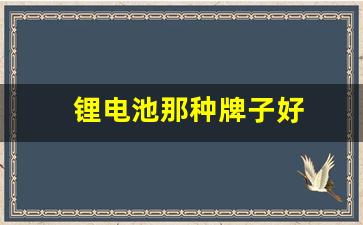 锂电池那种牌子好(锂电池那个牌子的好)_https://www.jumanxin.com_上交所_第1张