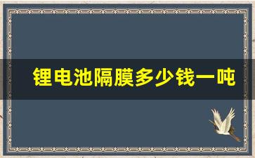 锂电池隔膜多少钱一吨(锂电池隔膜厂家排名)_https://www.wanyuyiyao.com_上交所_第1张