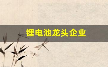 锂电池龙头企业(锂电池龙头企业有哪些)_https://www.hangfeite.com_深交所_第1张