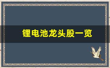 锂电池龙头股一览(锂电池十大龙头股代码)_https://www.wanyuyiyao.com_科创板_第1张
