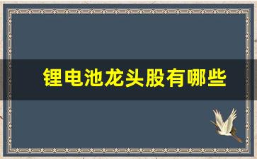 锂电池龙头股有哪些(锂电池龙头股份)_https://www.huakunhengjia.com_股票资讯_第1张