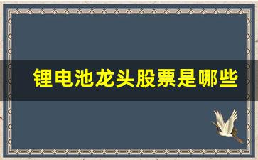 锂电池龙头股票是哪些(锂电池龙头股票是哪些股)_https://www.luoxuangg888.com_深交所_第1张
