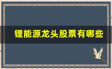 锂能源龙头股票有哪些(锂能源厂家)_https://www.wanyuyiyao.com_上交所_第1张