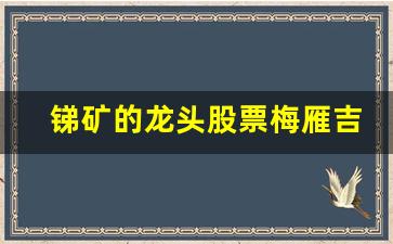 锑矿的龙头股票梅雁吉祥(梅雁吉祥锑矿储量)_https://www.wguangz.com_广期所_第1张