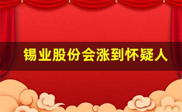 锡业股份会涨到怀疑人生(锡业前景)_https://www.huakunhengjia.com_金融资讯_第1张