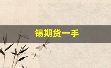锡期货一手(锡期货一手保证金多少钱)_https://www.fzdzcxj.com_科创板_第1张