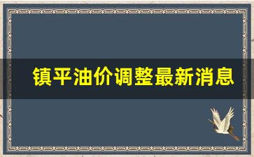 镇平油价调整最新消息表-镇平汽油价格多少