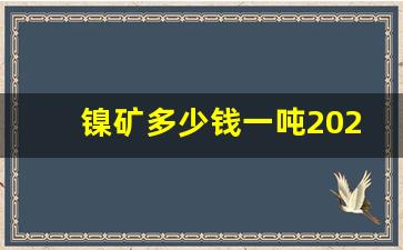 镍矿多少钱一吨2020(镍矿多少钱一吨2023年价格)_https://www.wguangz.com_郑商所_第1张