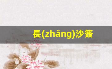 長(zhǎng)沙簽證辦理咨詢電話(長(zhǎng)沙簽證中心上班時(shí)間)