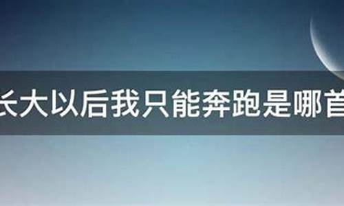 长大以后我只能奔跑是什么歌_歌词长大以后我只能奔跑是什么歌