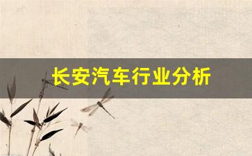 长安汽车行业分析(长安汽车行业分析报告目录)_https://www.wanyuyiyao.com_上交所_第1张