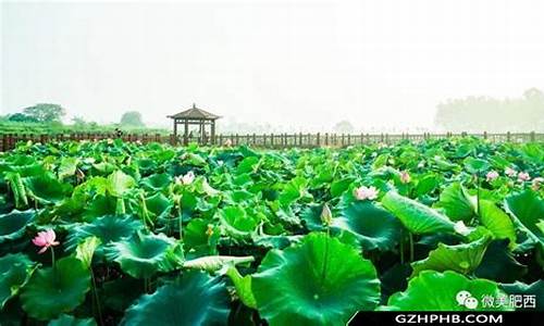 长春一日游必去的地方_长春一日游必去的地方古城