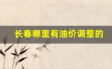 长春地区油价-长春哪里有油价调整的