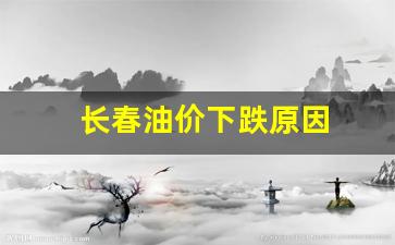 长春油价下跌原因-长春地区今日油价