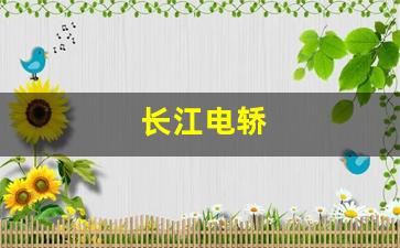长江电轿(长江电动汽车价格)_https://www.huakunhengjia.com_股票资讯_第1张