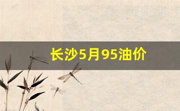 长沙目前油价_长沙5月95油价