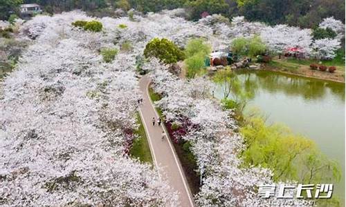 长沙玉湖公园在哪里_长沙玉湖公园在哪里预约