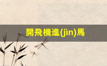 馬來西亞入境須知，乘坐飛機入境是否需要簽證詳解