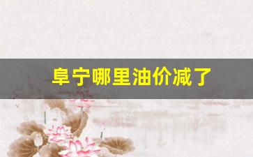 阜宁哪里油价减了_阜宁加油比较好的加油站