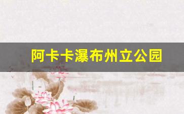 阿卡卡瀑布州立公园-搜狐焦点媒体精英打卡阿卡小镇共享秋日海边美好时光
