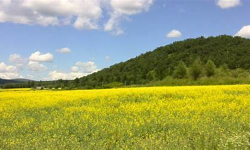 阿荣旗天气预告_阿荣旗天气预报30天查询