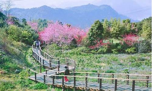 阿里山旅游景点_阿里山旅游攻略大全