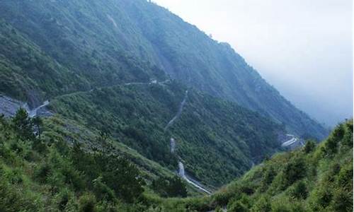 阿里山旅游攻略重庆路线-阿里山门票