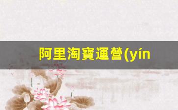 阿里淘寶運營(yíng)做什么的插圖