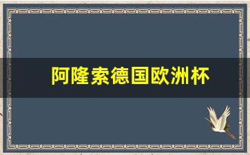 阿隆索德国欧洲杯-阿隆索足球运动员