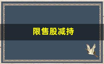 限售股减持(限售股减持人)_https://www.dongshengweixin.com_深交所_第1张