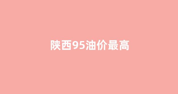 陕西95油价最高多少钱_陕西95油价最高