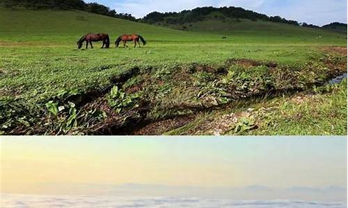 陕西关山牧场旅游攻略一日游,陕西关山牧场海拔多少米