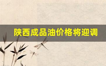 陕西省成品油价格-陕西成品油价格将迎调整