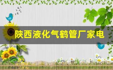 陕西液化气鹤管厂家电话(1)