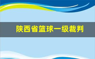 陕西省篮球一级裁判-陕西省篮球裁判员查询系统