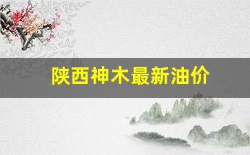 陕西神木最新油价_陕西神木今日油价