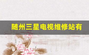 随州三星电视维修站有哪些地址-随州三星电视维修站有哪些