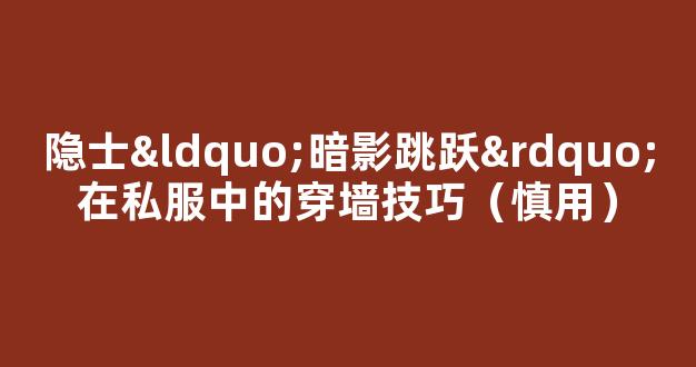 隐士“暗影跳跃”在私服中的穿墙技巧（慎用）