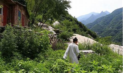 隐居山林的人最怕什么生肖_隐居山林好吗