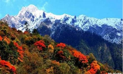 雅安东拉山大峡谷天气_东拉山大峡谷风景区电话