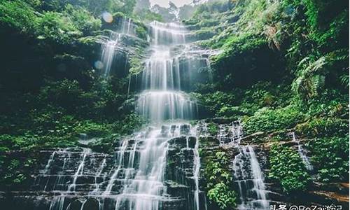 雅安旅游十大必去景点_雅安旅游十大必去景点九龙村