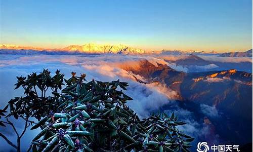 雅安牛背山9月天气_雅安牛背山天气预报