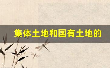 集体土地和国有土地的区别(集体土地和国有土地的区别知乎)_https://www.qldgs.com_国际期货_第1张