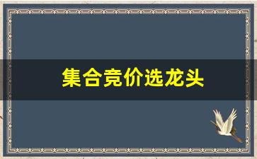 集合竞价选龙头(集合竞价抓龙头股)_https://www.dcjwmf.com_上期能源_第1张