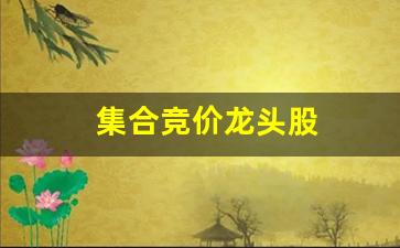集合竞价龙头股(集合竞价吓人)_https://www.qldgs.com_内盘期货_第1张