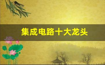集成电路十大龙头(集成电路制造龙头)_https://www.wanyuyiyao.com_科创板_第1张