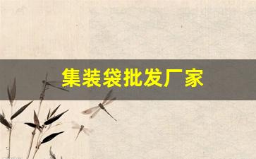 集装袋批发厂家(集装袋生产厂家哪家好)_https://www.jnskb.com_设计报价_第1张