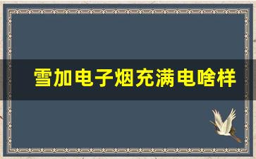 雪加电子烟充满电状态