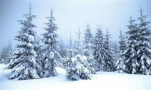 雪景发朋友圈的精美句子_春天的雪景发朋友圈的精美句子