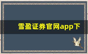 雪盈证券官网app下载(雪盈证券官网app下载安装)_https://www.luoxuangg888.com_深交所_第1张